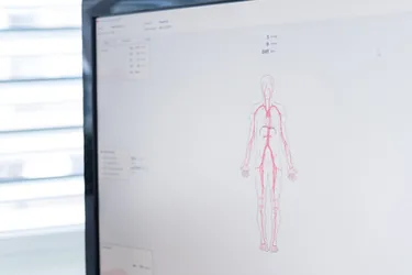 Bildschirm mit der Auswertung einer segmentalen Pulsoszillographie